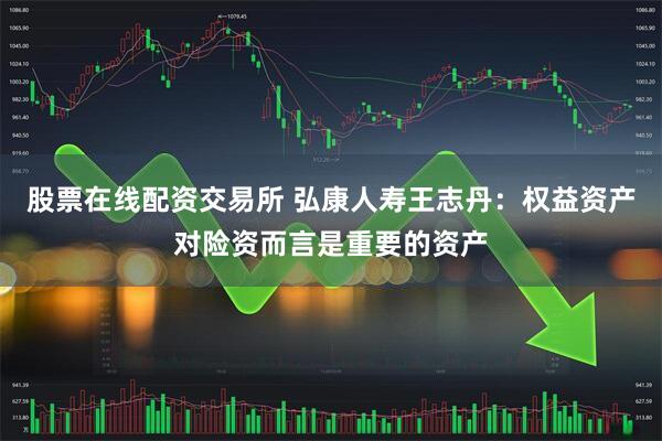 股票在线配资交易所 弘康人寿王志丹：权益资产对险资而言是重要的资产
